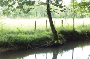 en pleine nature